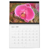 Bäume & Wildblumen Kalender (Mär 2027)