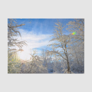 Bäume Winter Schnee bedeckt Blaue Himmel Wolken La Seidenpapier