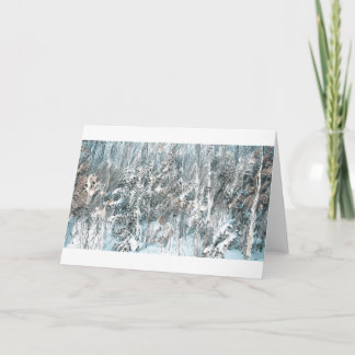 Bäume Wisconsins Northwoods Feiertagskarte