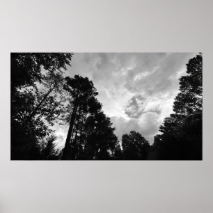 Bäume & Wolken, Poster