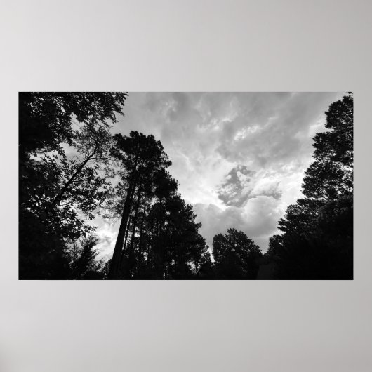 Bäume & Wolken, Poster (Vorne)