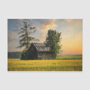 Bäume zum Schutz eines halb fertig gestellten Stal Seidenpapier