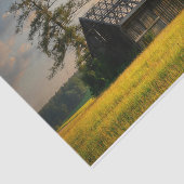 Bäume zum Schutz eines halb fertig gestellten Stal Seidenpapier (Ausschnitt)