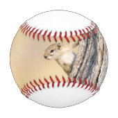 Baumeichhörnchen Baseball (Rückseite)