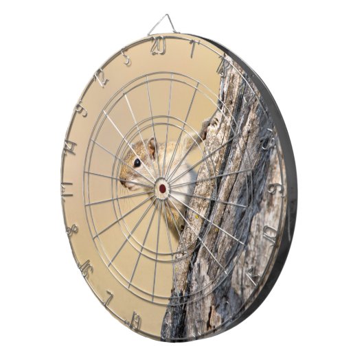 Baumeichhörnchen Dartscheibe (Vorderseite rechts)