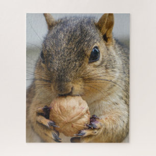 Baumeichhörnchen, das eine Nuss isst Puzzle