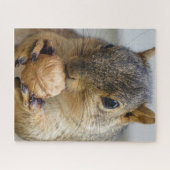 Baumeichhörnchen, das eine Nuss isst Puzzle (Horizontal)