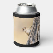 Baumeichhörnchen Dosenkühler (Kanne Rückseite)