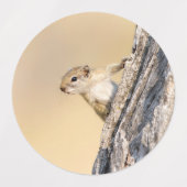 Baumeichhörnchen Etiketten (Design 2)