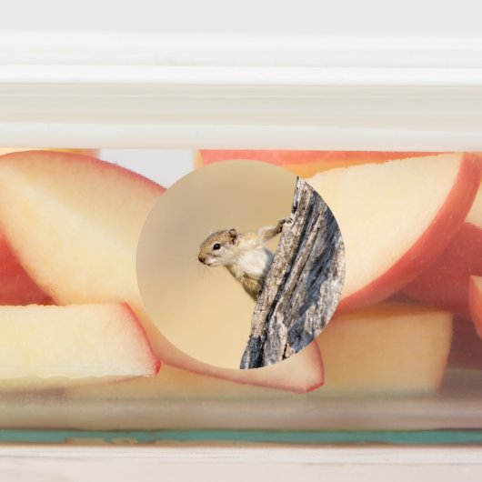 Baumeichhörnchen Etiketten (Befestigt)