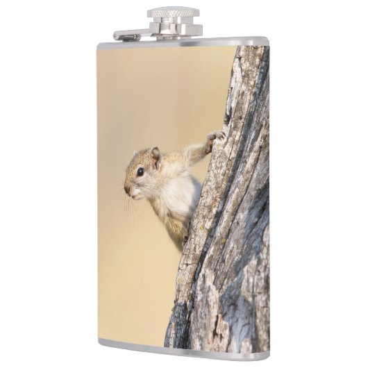 Baumeichhörnchen Flachmann (Links)