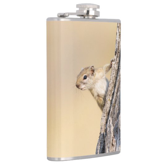 Baumeichhörnchen Flachmann (Rechts)