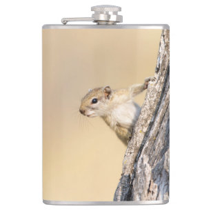 Baumeichhörnchen Flachmann