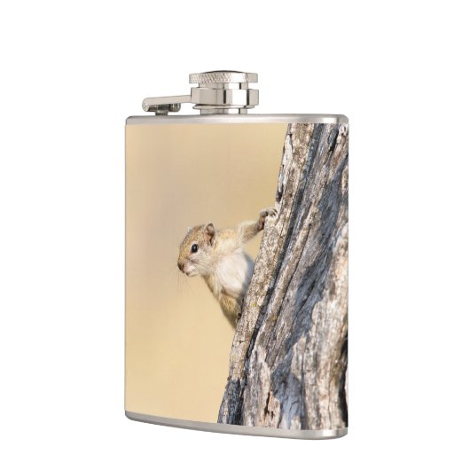 Baumeichhörnchen Flachmann (Links)