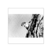Baumeichhörnchen Gummistempel (Prägung)