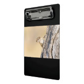 Baumeichhörnchen Mini Klemmbrett (Gewinkelt2)