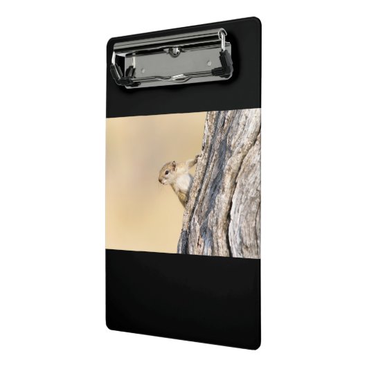 Baumeichhörnchen Mini Klemmbrett (Gewinkelt2)