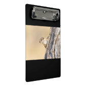 Baumeichhörnchen Mini Klemmbrett (Schrägansicht)