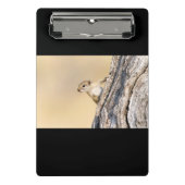 Baumeichhörnchen Mini Klemmbrett (Vorderseite)