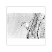 Baumeichhörnchen Permastempel (Design)