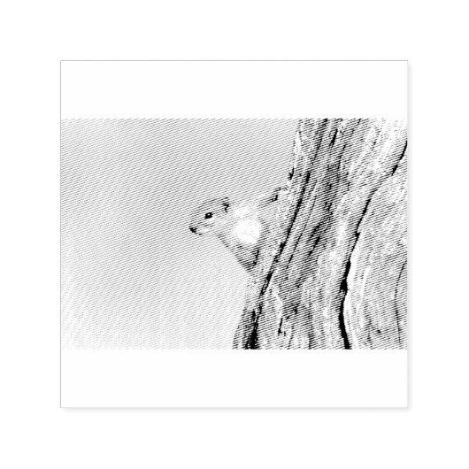 Baumeichhörnchen Permastempel (Design)