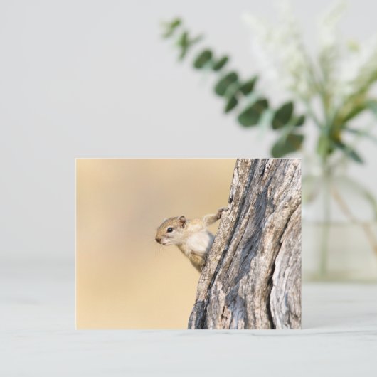 Baumeichhörnchen Postkarte (Stehend Vorderseite)