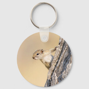 Baumeichhörnchen Schlüsselanhänger