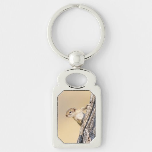 Baumeichhörnchen Schlüsselanhänger (Vorderseite)