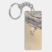 Baumeichhörnchen Schlüsselanhänger (Vorderseite links)