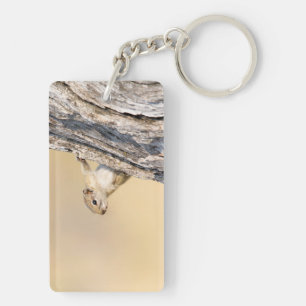 Baumeichhörnchen Schlüsselanhänger