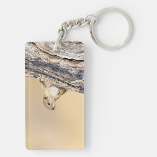 Baumeichhörnchen Schlüsselanhänger (Rückseite)