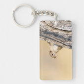 Baumeichhörnchen Schlüsselanhänger (Vorderseite)