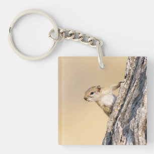 Baumeichhörnchen Schlüsselanhänger