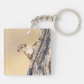 Baumeichhörnchen Schlüsselanhänger (Rückseite)