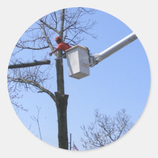 Baumentnahme ~ Aufkleber (Vorderseite)