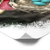 Baumfairies am Robiner Nest Poster (Ecke)