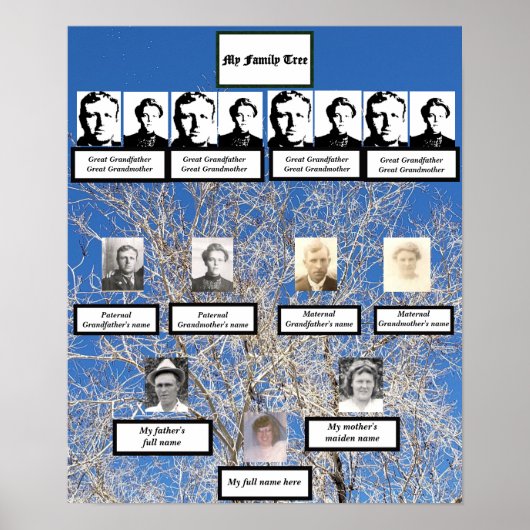 Baumfamilien-Fotos der vier Generationen ohne Blät Poster (Vorne)