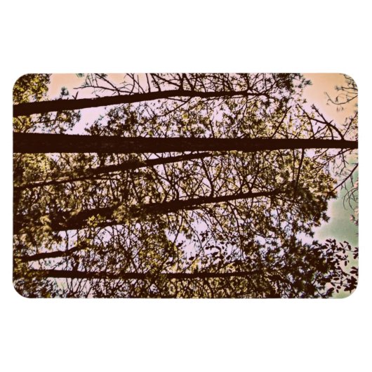 Baumfarbe Magnet (Horizontal)