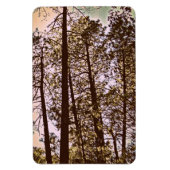 Baumfarbe Magnet (Vertikal)