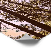 Baumfarbe Poster (Ecke)