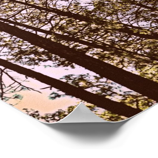 Baumfarbe Poster (Ecke)