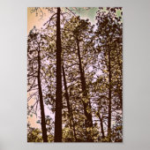 Baumfarbe Poster (Vorne)