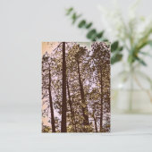 Baumfarbe Postkarte (Stehend Vorderseite)