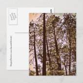 Baumfarbe Postkarte (Vorne/Hinten)