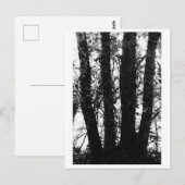 Baumfotografie - Arden Postkarte (Vorne/Hinten)