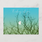Baumfotografie Postkarte (Vorderseite)