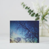 Baumfotografie Postkarte (Stehend Vorderseite)