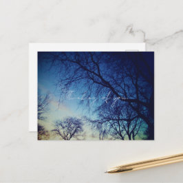 Baumfotografie Postkarte