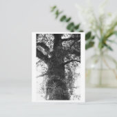Baumfotografie - Treow Postkarte (Stehend Vorderseite)