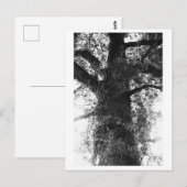 Baumfotografie - Treow Postkarte (Vorne/Hinten)